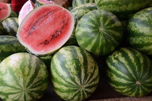 西安吃瓜群众免费吃瓜吗,免费瓜果盛宴，你来了吗？  第3张