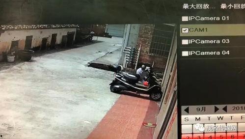 老油条爆料的视频,视频内容深度解析  第2张